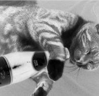 Epsilon (AUT) : Simple Life